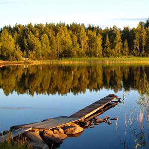 Stöd och rådgivning 